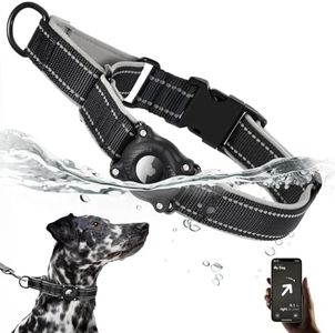 Airtag Dog