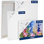 H&S Set of 4 Artist Blank Canvas Frame Stretcher, Acrylic, Oil, Water - Painting Canvas Board 20x30cm 30x40cm - Paint Canvas for Painting - Blank Canvases for Art - Large & Small