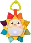 B. Baby – Musical Light-Up Baby Toy – Hedgehog Toy with Lights & Sounds – Sensory Toy for Newborns, Babies – Music & Glowing Lights – 0 Months + – RainGlow Buddy