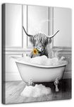 Highland Cow Wall Art Black and White Highland Cow Canvas Prints Farmhouse Bathroom Decor Cow in Bathtub Picture Framed Artwork 16x20inch