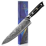 Sunnecko Chef Knife 8 inch, Kitchen Knife with 73-Layer VG10 Damascus Steel Sharp Knife, Chefs Knife with G10 Handle Professional Damascus Knife with Elegant Box for Meat Knife