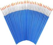 60 Pcs Round Paint Brushes,Small Br