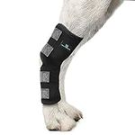 Dog Leg Braces for Back Leg - Dog K