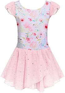 Arshiner Girls Ruffle Sleeve Ballet Dance Dress Tutu Skirted Leotard