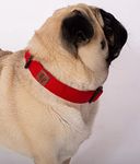 Lana Paws Skin-Friendly, Lightweight & Durable Fabric Dog CollarFor Large Dogs, Red