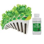 Aerogarden Salad Greens Seed Pod Kit with Red, Green, Romaine and Butter Leaf Lettuce, Liquid Plant Food and Growing Guide (9-Pod)