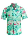 APTRO Men's Hawaiian Shirt Short Sleeve Beach Party Aloha Shirt HW020 M