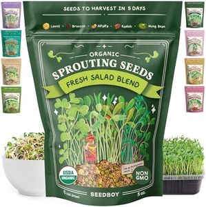 Seedboy Or