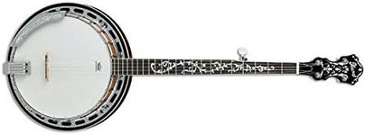 Ibanez B200 5 String Banjo w/Basswood Rim