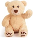 LotFancy Teddy Bear Stuffed Animal,