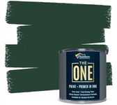 THE ONE Paint & Primer: Most Durable Furniture Paint, Cabinet Paint, Front Door, Walls, Tile Paint - Quick Drying Paint for Interior/Exterior (Green Matte, 250ml.)