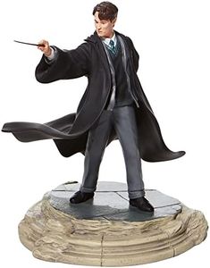 HARRY POTT