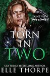 Torn In Two (Saint View Slayers vs. Sinners Book 2)