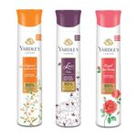 Yardley London Imperial Sandalwood,Royal Red Roses and Lace satin (pack of 3) Deodorant Spray - For Women (150 ml, Pack of 3)