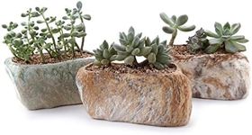 T4U 13.5CM Ceramic Succulent Pot Planter with Drainage Hole Set of 3, Stone Shape Rectangle Window Box Cactus Plant Containers for Home Office Table Desk Decoration