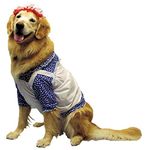 Raggedy Ann Pet Costume Small