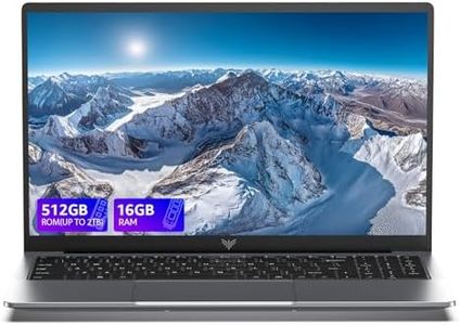 ACEMAGIC PC Portable Boîtier Métallique Quad Core in-tel Twin Lake N-150 (Jusqu'à 3.6Ghz) 16 Go Ram DDR4 512 Go de M.2 SSD,Wi-FI 5,BT 5.0,3*USB 3.2,Type C,Ordinateur de Bureau 15.6 Pouces