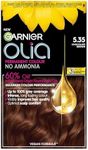 Garnier Olia Permanent Hair Dye, Up