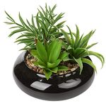Briful Artificial Succulent Plants Fake Plants in Round Ceramic Pot Faux Potted Plant Fake Succulents Arrangement Artificial Plants Indoor for Office Desk Decor Decorative Home Accessories