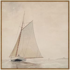 InSimSea F