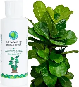 Fiddle Leaf Fig Rescue Drops by Fiddle Leaf Fig Plant Resource | 3-in-1 Liquid Fertilizer, Root Supplement & Immunity Booster (3.3 Fluid Ounces - 100ml)