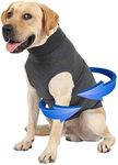 Dog Anxiety Jacket, Dog Thunder Shi