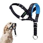 ILEPARK Dog Head Collar with Safety Strap, Head Harness for Dogs to Stop Pulling, Adjustable and Easily Control (M, Lake Blue)