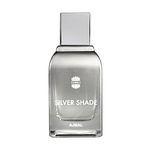 Ajmal | Silver Shade - 100 ml | Perfume for Men | Premium Eau De Parfum | Scent Spray | Long Lasting Fragrance for Men | Citrus, Fruity & Woody | Gift for Men, Gift for Father