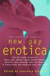 Gay Erotica Book