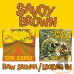 Raw Sienna / Looking In