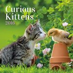 Turner Curious Kittens 2016 Wall Calendar (8940017)