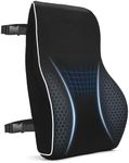 Lumbar Support Cushion, Memory Foam Back Support For Office Chair, Car Seat, Mesh Back Rest for Gaming Chair, Lumbar Support Pillow Desk Chair Cushion, Breathable & Washable Cover, Adjustable Straps