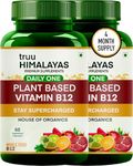 truu HIMALAYAS Plant Based Organic Vitamin B12 Supplement - 2.2 Mcg Vit. B12 - Nature Made Rasayana B12 & Green Food Bounty Organics - Fastup Nerve Life & Brain Health - 120 Vegan Capsules