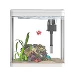 2 Gallon Glass Small Fish Tank Star