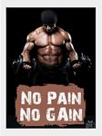 Grab Gifts No Pain No Gain Gym Motivation Posters with Frame 1inch Bid size workout quotes inspiration wall frame big size for men & women club painting (13x19 Inch, V10, White Frame)