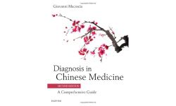 Diagnosis in Chinese Medicine: A Comprehensive Guide