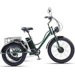 7 Speeds Electric Tricycle for Adults, 750W 48V 15Ah Electric Trike with Large Basket Family Shopping Motorized Three Wheel Bicycle for Camping Picnics, LCD-Display