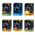 SCORIA Herbal Hookah Molasses (100% Nicotine and Tobacco Free) PAN MINT CIGAR , SPRING WATER, X ON THE BEACH ,PEACH, MIX FUITS, GUAVA Flavor (Pack of 6)