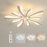 Comely Ceiling Light Dimmable, LED Ceiling Lighting 48W 5400LM, 3000K-6500K, Acrylic Modern Lighting Fixture with Remote Control for Living Room Bedroom, Dia71cm