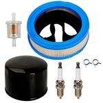 Carkio Air Filter Oil Filter Spark Plug Fuel Filter Clamps Compatible with Briggs & Stratton Vanguard V-Twin 12.5-21hp