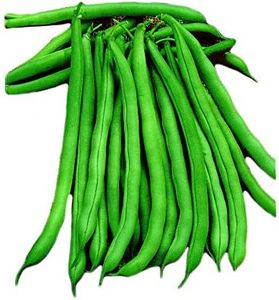 Park Seed 