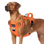Eyein No Pull Dog Harness Large, Comfortable Heavy Duty Pet Vest Harness, Front Clip Easy Control Puppy Harness with Soft Padded Handle Reflective for Outdoor Training Walking(Orange,L)