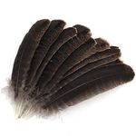 MWOOT 10pcs Turkey Feathers, Natural Purification Energy Feathers for DIY Jewelry Crafts Home Wedding Party Decoration (20-30cm)