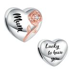 LSxAB Rose Heart Love Mum Lucky to Have You Charm Compatible with Pandora Charms Bracelets