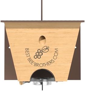 Best Bee B