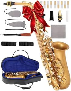 AKLOT Handcrafted E-Flat Alto Saxophone: Matte Gold Brass Body with Warm, Rich Tone, Secure Air Seal, Smooth 23-Key System, Includes Reeds Premium Leather Case & Saxophone Cleaning Kit (CH-EG)