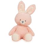 Baby GUND Sustainable Bunny Plush, Stuffed Animal Made from Recycled Materials, Gift for Babies and Newborns, Pink/Cream, 13”