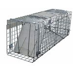 Humane Squirrel Traps