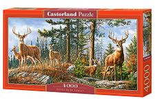 Castorland Puzzle 4000 pieces: Royal Deer Family