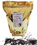 Bird Feeder Bird Seed - Black Oil Sunflower All Season Wild Bird Seed Outdoor Canada for Cardinal, Finch, Blue Jays (4 lb)